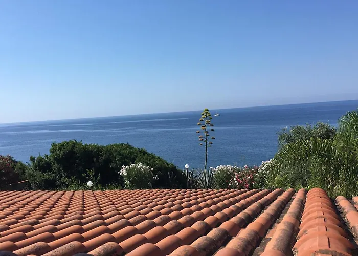 Il Pettirosso